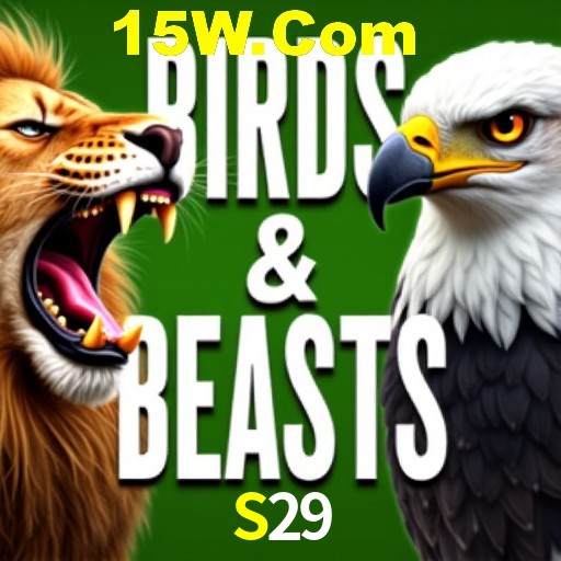 Apostas de Futebol S29