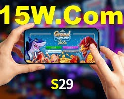 VIP Casino S29